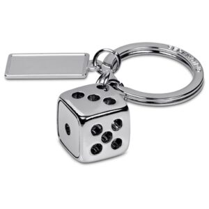 Alternative view of Serendipio Dice Charmed Keyholder