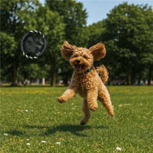 Alternative view of Altitude Catch Pet Frisbee