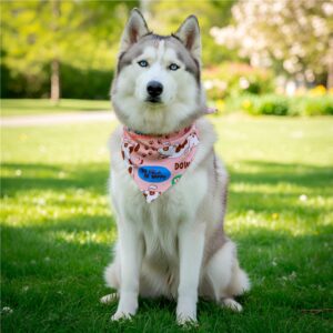 Alternative view of Pre-Printed Sample Hoppla Bosco Large Polyester Dog Bandana