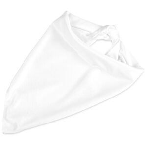 Alternative view of Pre-Production Sample Hoppla Nurva Polyester Bandana