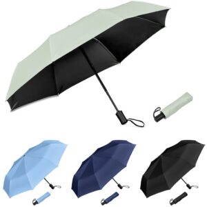 Alternative view of Serendipio Sleet Auto-Open Compact Umbrella