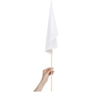 Alternative view of Champion Medium Hand Flag 450mm x 300mm
